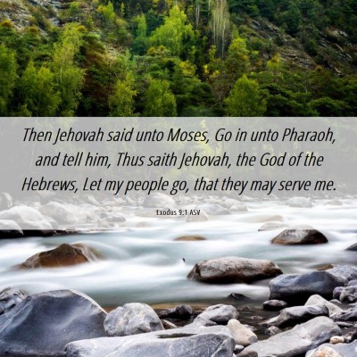 Picture 06 - Exodus 9:1 ASV - Then Jehovah said unto Moses, Go in unto Pharaoh, - Bible Verse Picture