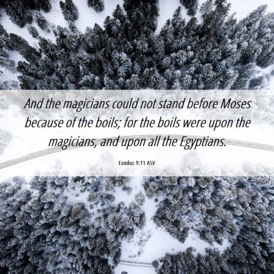 Picture 06 - Exodus 9:11 ASV - And the magicians could not stand before Moses - Bible Verse Picture