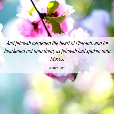 Picture 06 - Exodus 9:12 ASV - And Jehovah hardened the heart of Pharaoh, and he - Bible Verse Picture