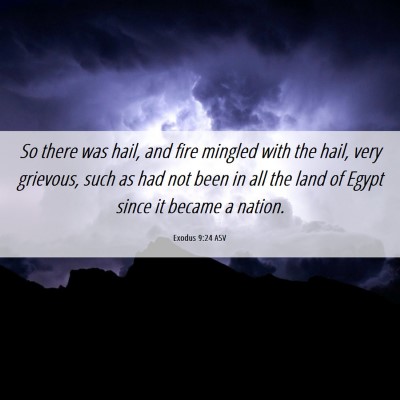 Picture 06 - Exodus 9:24 ASV - So there was hail, and fire mingled with the - Bible Verse Picture