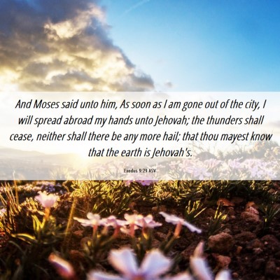 Picture 06 - Exodus 9:29 ASV - And Moses said unto him, As soon as I am gone out - Bible Verse Picture