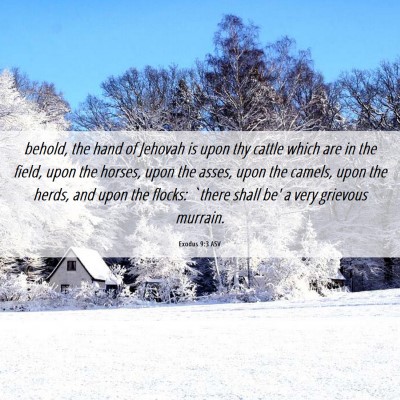Picture 06 - Exodus 9:3 ASV - behold, the hand of Jehovah is upon thy cattle - Bible Verse Picture