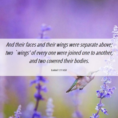Picture 06 - Ezekiel 1:11 ASV - And their faces and their wings were separate - Bible Verse Picture