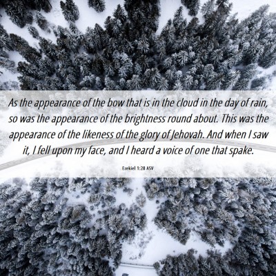 Picture 06 - Ezekiel 1:28 ASV - As the appearance of the bow that is in the cloud - Bible Verse Picture
