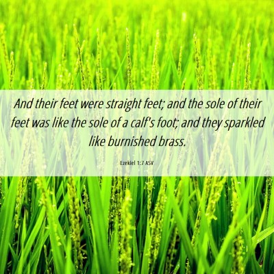 Picture 06 - Ezekiel 1:7 ASV - And their feet were straight feet; and the sole - Bible Verse Picture