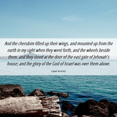 Picture 06 - Ezekiel 10:19 ASV - And the cherubim lifted up their wings, and - Bible Verse Picture