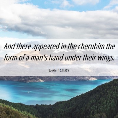 Picture 06 - Ezekiel 10:8 ASV - And there appeared in the cherubim the form of a - Bible Verse Picture