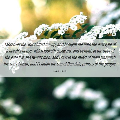 Picture 06 - Ezekiel 11:1 ASV - Moreover the Spirit lifted me up, and brought me - Bible Verse Picture