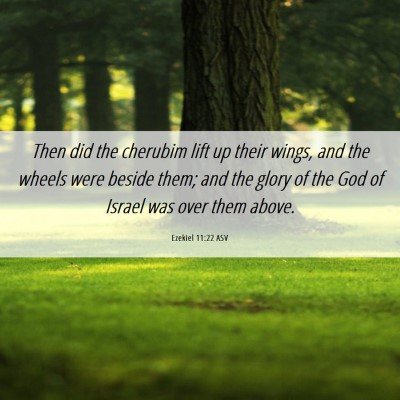 Picture 06 - Ezekiel 11:22 ASV - Then did the cherubim lift up their wings, and - Bible Verse Picture