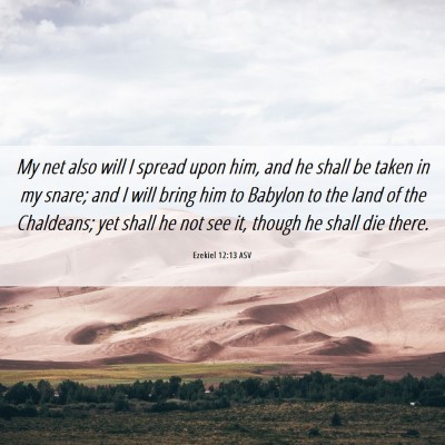 Picture 06 - Ezekiel 12:13 ASV - My net also will I spread upon him, and he shall - Bible Verse Picture