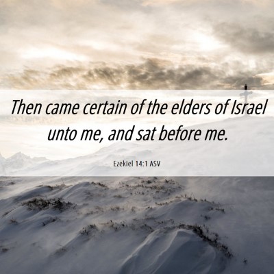 Picture 06 - Ezekiel 14:1 ASV - Then came certain of the elders of Israel unto - Bible Verse Picture