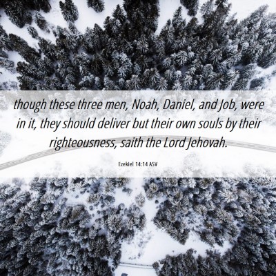 Picture 06 - Ezekiel 14:14 ASV - though these three men, Noah, Daniel, and Job, - Bible Verse Picture