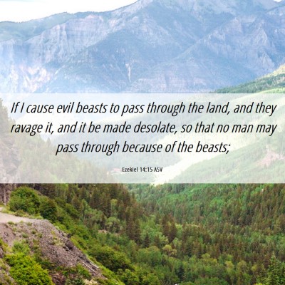 Picture 06 - Ezekiel 14:15 ASV - If I cause evil beasts to pass through the land, - Bible Verse Picture