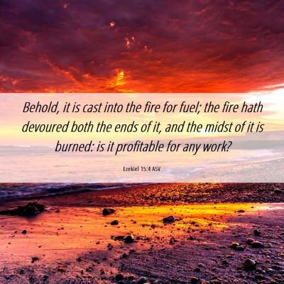 Picture 06 - Ezekiel 15:4 ASV - Behold, it is cast into the fire for fuel; the - Bible Verse Picture
