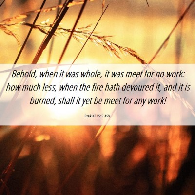 Picture 06 - Ezekiel 15:5 ASV - Behold, when it was whole, it was meet for no - Bible Verse Picture