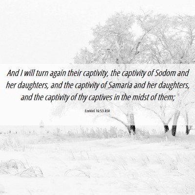 Picture 06 - Ezekiel 16:53 ASV - And I will turn again their captivity, the - Bible Verse Picture