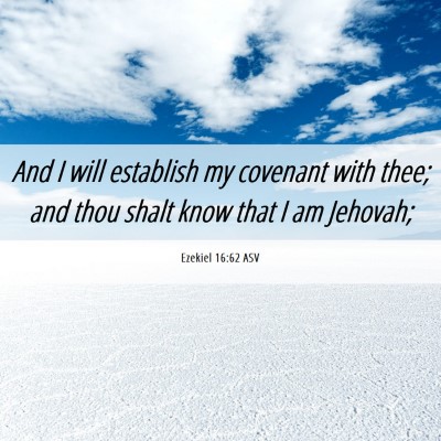 Picture 06 - Ezekiel 16:62 ASV - And I will establish my covenant with thee; and - Bible Verse Picture