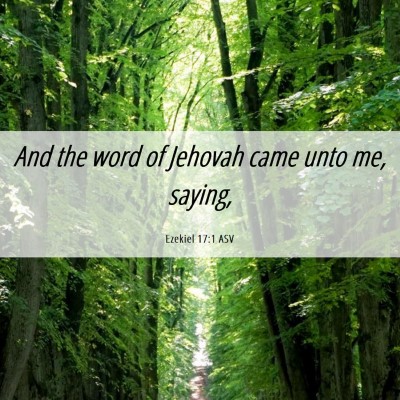 Picture 06 - Ezekiel 17:1 ASV - And the word of Jehovah came unto me, - Bible Verse Picture