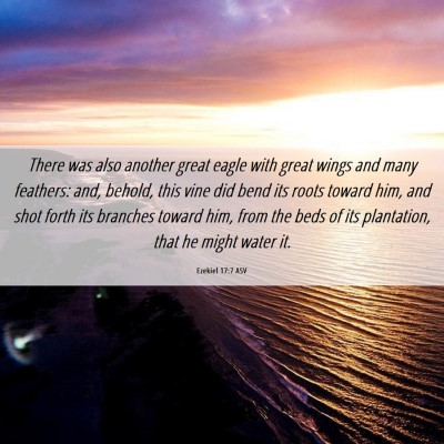 Picture 06 - Ezekiel 17:7 ASV - There was also another great eagle with great - Bible Verse Picture