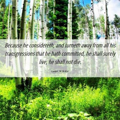 Picture 06 - Ezekiel 18:28 ASV - Because he considereth, and turneth away from all - Bible Verse Picture