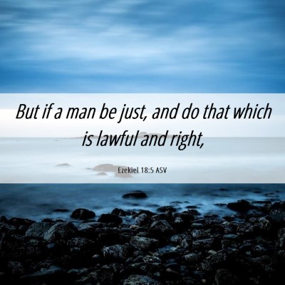 Picture 06 - Ezekiel 18:5 ASV - But if a man be just, and do that which is lawful - Bible Verse Picture