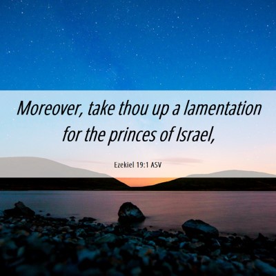 Picture 06 - Ezekiel 19:1 ASV - Moreover, take thou up a lamentation for the - Bible Verse Picture