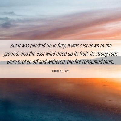 Picture 06 - Ezekiel 19:12 ASV - But it was plucked up in fury, it was cast down - Bible Verse Picture