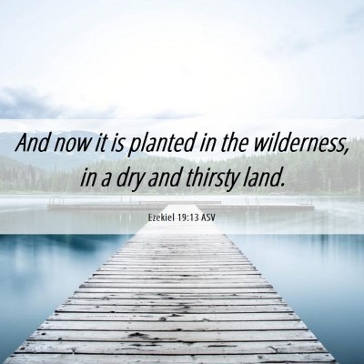 Picture 06 - Ezekiel 19:13 ASV - And now it is planted in the wilderness, in a dry - Bible Verse Picture