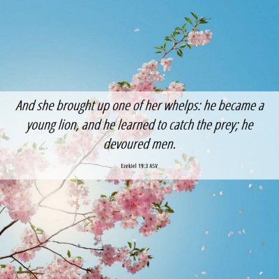Picture 06 - Ezekiel 19:3 ASV - And she brought up one of her whelps: he became a - Bible Verse Picture