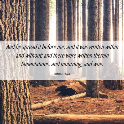 Picture 06 - Ezekiel 2:10 ASV - And he spread it before me: and it was written - Bible Verse Picture
