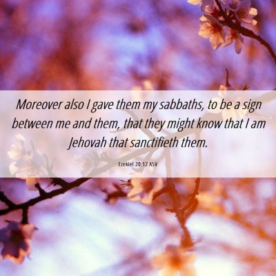 Picture 06 - Ezekiel 20:12 ASV - Moreover also I gave them my sabbaths, to be a - Bible Verse Picture
