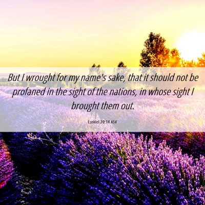 Picture 06 - Ezekiel 20:14 ASV - But I wrought for my name's sake, that it should - Bible Verse Picture
