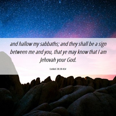Picture 06 - Ezekiel 20:20 ASV - and hallow my sabbaths; and they shall be a sign - Bible Verse Picture