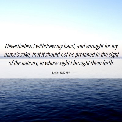 Picture 06 - Ezekiel 20:22 ASV - Nevertheless I withdrew my hand, and wrought for - Bible Verse Picture