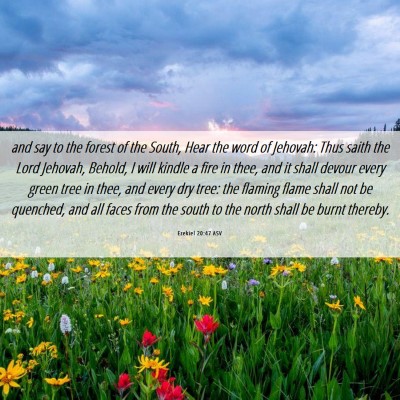 Picture 06 - Ezekiel 20:47 ASV - and say to the forest of the South, Hear the word - Bible Verse Picture