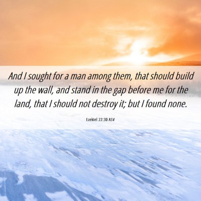 Picture 06 - Ezekiel 22:30 ASV - And I sought for a man among them, that should - Bible Verse Picture