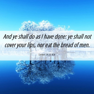 Picture 06 - Ezekiel 24:22 ASV - And ye shall do as I have done: ye shall not - Bible Verse Picture