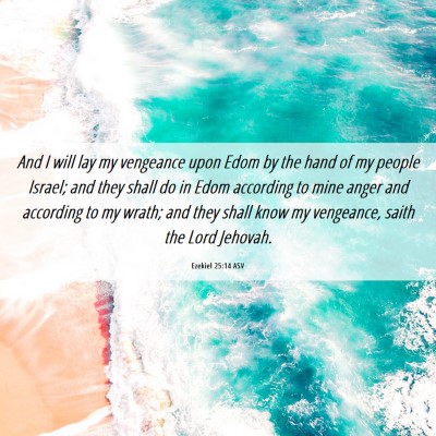 Picture 06 - Ezekiel 25:14 ASV - And I will lay my vengeance upon Edom by the hand - Bible Verse Picture