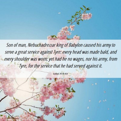 Picture 06 - Ezekiel 29:18 ASV - Son of man, Nebuchadrezzar king of Babylon caused - Bible Verse Picture