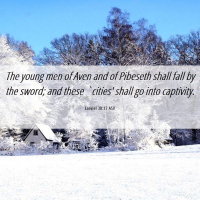 Picture 06 - Ezekiel 30:17 ASV - The young men of Aven and of Pibeseth shall fall - Bible Verse Picture