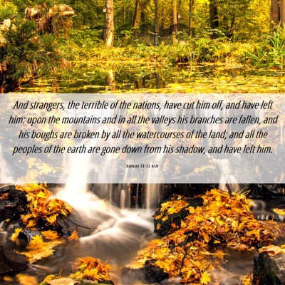 Picture 06 - Ezekiel 31:12 ASV - And strangers, the terrible of the nations, have - Bible Verse Picture