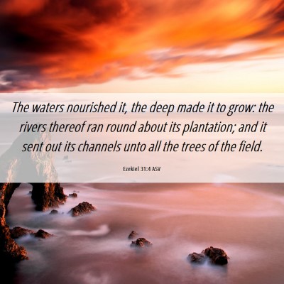 Picture 06 - Ezekiel 31:4 ASV - The waters nourished it, the deep made it to - Bible Verse Picture