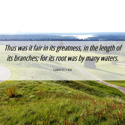 Picture 06 - Ezekiel 31:7 ASV - Thus was it fair in its greatness, in the length - Bible Verse Picture