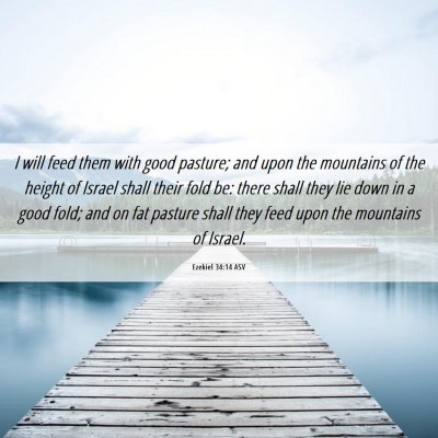 Picture 06 - Ezekiel 34:14 ASV - I will feed them with good pasture; and upon the - Bible Verse Picture