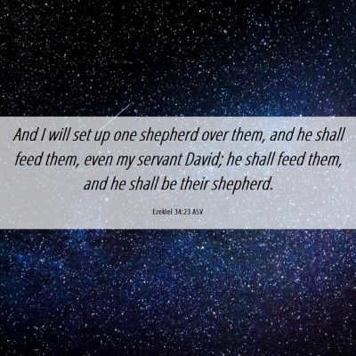 Picture 06 - Ezekiel 34:23 ASV - And I will set up one shepherd over them, and he - Bible Verse Picture