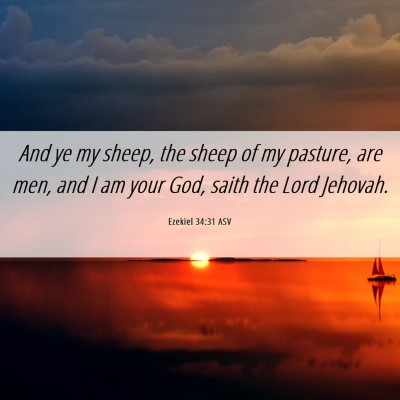 Picture 06 - Ezekiel 34:31 ASV - And ye my sheep, the sheep of my pasture, are - Bible Verse Picture