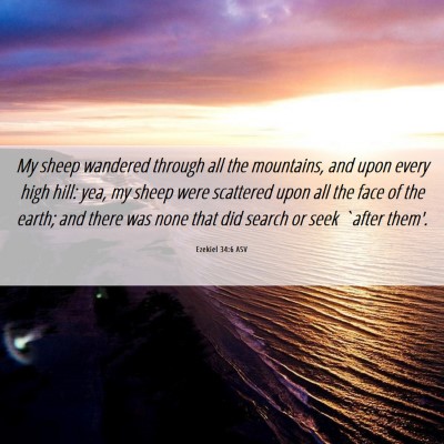 Picture 06 - Ezekiel 34:6 ASV - My sheep wandered through all the mountains, and - Bible Verse Picture