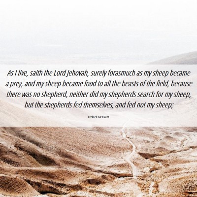 Picture 06 - Ezekiel 34:8 ASV - As I live, saith the Lord Jehovah, surely - Bible Verse Picture
