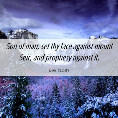 Picture 06 - Ezekiel 35:2 ASV - Son of man, set thy face against mount Seir, and - Bible Verse Picture
