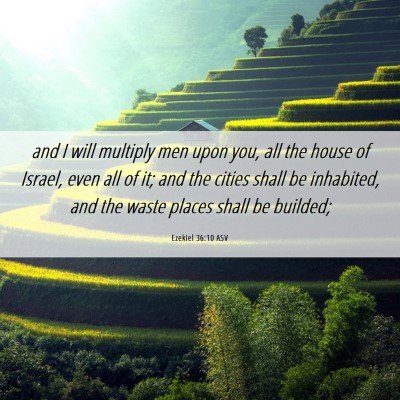 Picture 06 - Ezekiel 36:10 ASV - and I will multiply men upon you, all the house - Bible Verse Picture